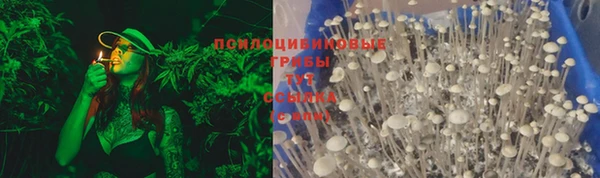 твердый Абинск