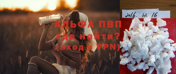 гашик Алексеевка
