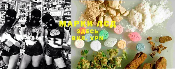 стафф Корсаков