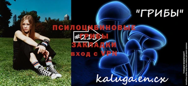 гашик Алексеевка